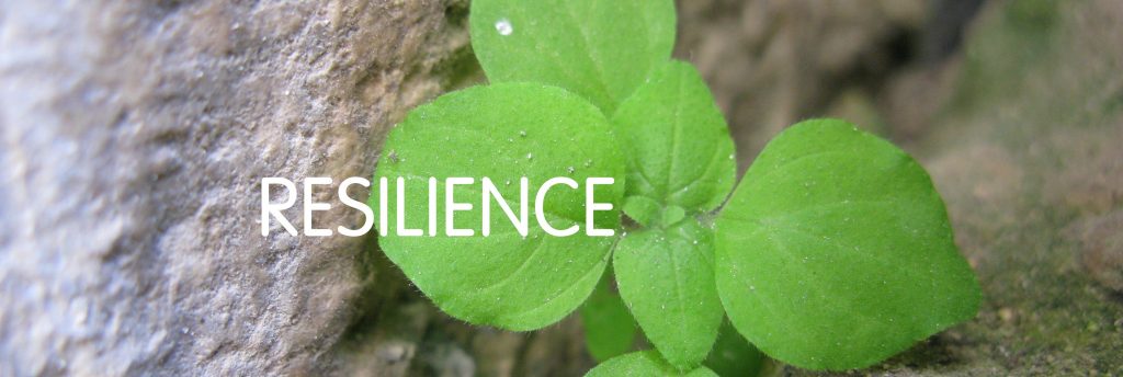 Séance de thérapie pour développer la résilience avec psychologue à Paris spécialisé en traumatisme du harcèlement