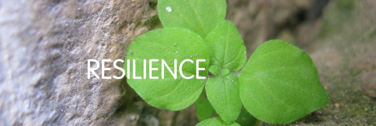 Lire la suite à propos de l’article Psychologue à Paris : Comment aider les adolescents à développer leur résilience face au harcèlement