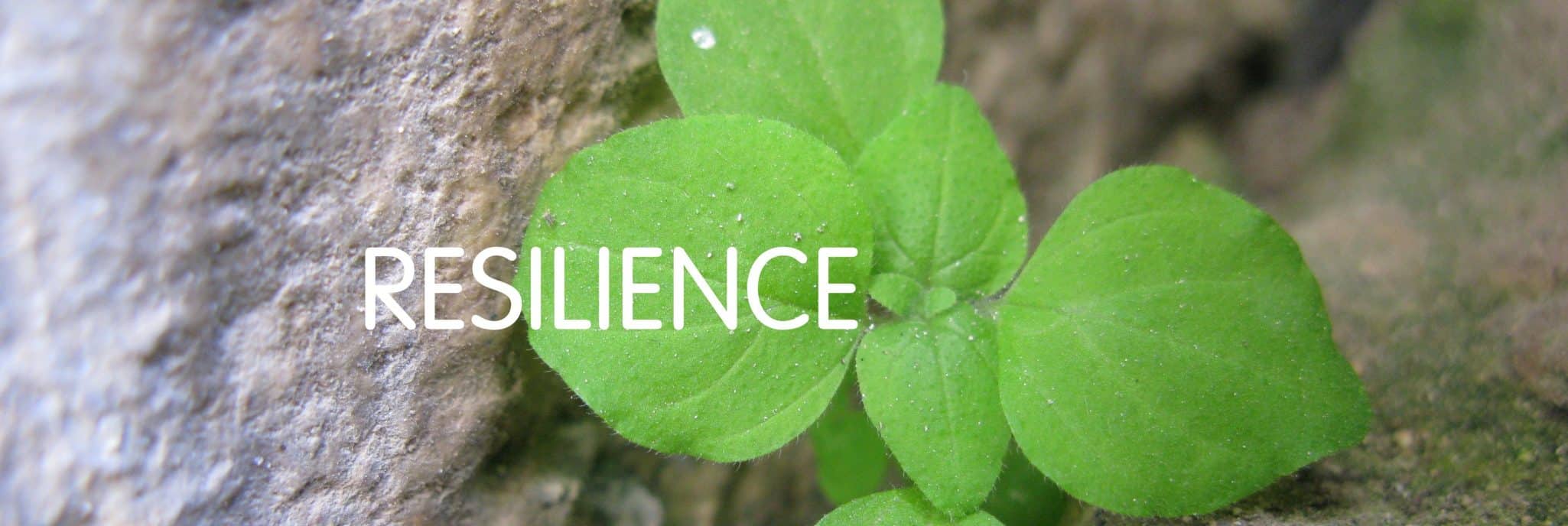 Lire la suite à propos de l’article Psychologue à Paris : Comment aider les adolescents à développer leur résilience face au harcèlement