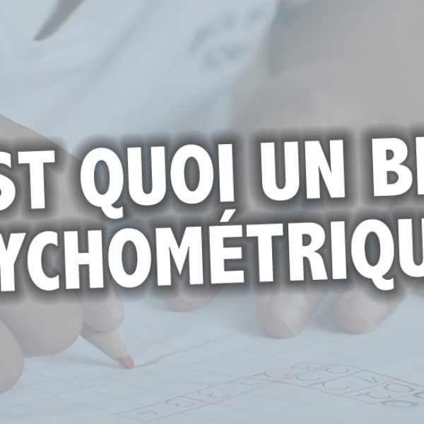 HPI et TDAH (Double Exceptionnalité) : Comment Démêler le Profil de Votre Enfant à Paris 16 ? 