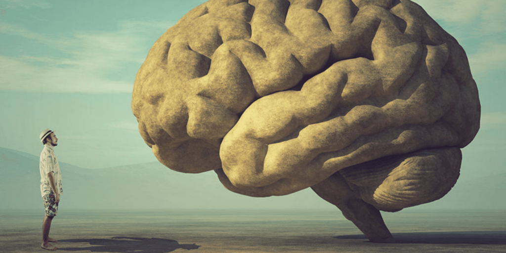 Bilan HPI adulte et enfant psychologue paris 16 Ranelagh